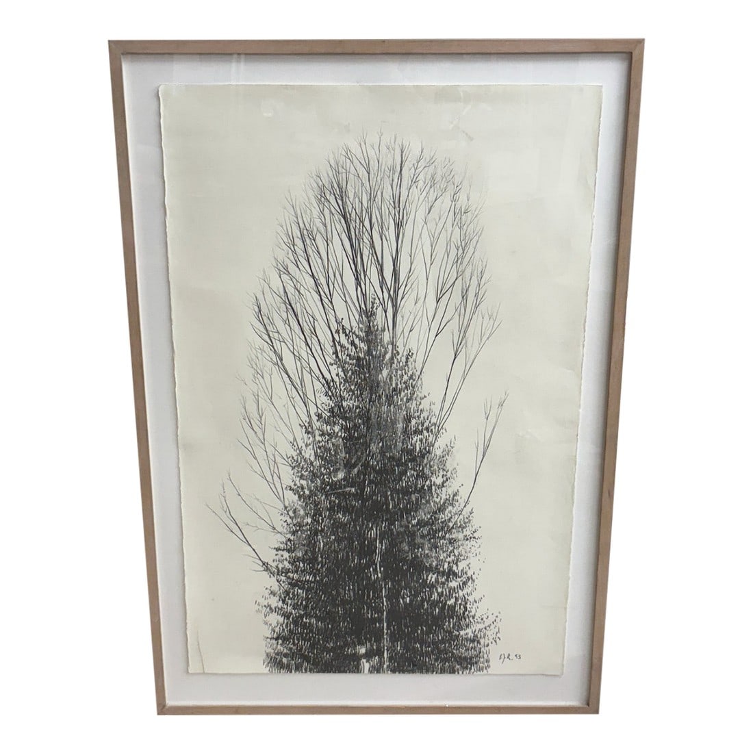 Tree (1993) by Paul Rotterdam (American, B. Austria, 1939): Charcoal on paper drawing. Paper: 40x26" Framed dimensions: 46x31.5" Very good condition (slight crease to paper at lower right corner) Signed and dated (with artist's initials) at lower right