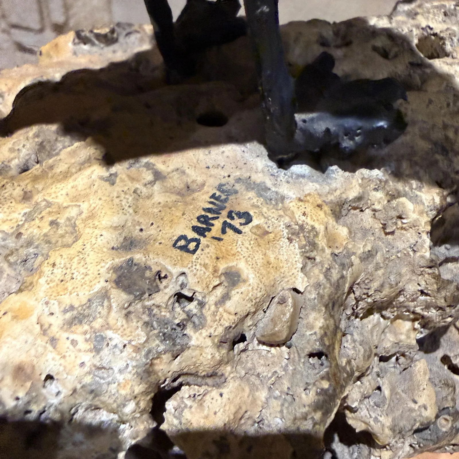 Faux Bronze Seagull Sculpture Volcanic Rock Signed Barnes 73 - 7