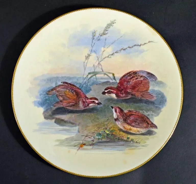 Thomas Minton Porcelain Bird Cabinet Plates Signed by William Mussil - 5