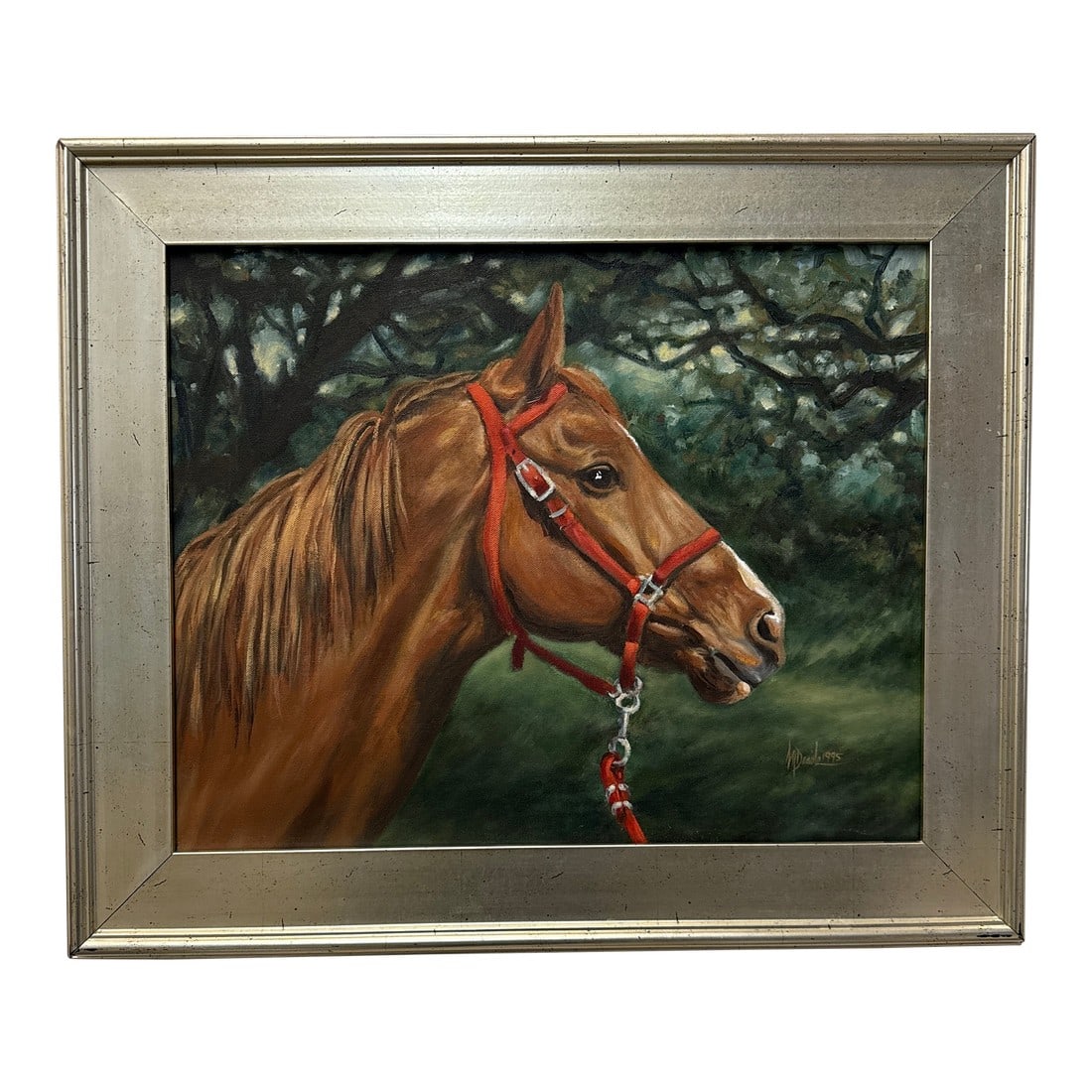 Original Oil Painting of of a Kind Chestnut Horse 16" X 20 " 1995: Gorgeous oil of horse with bright red halter. 16" x 20" oil on canvas. 25 1/4 x 21 1/4 outs silver of French silver gallery frame. Ready to hang. This painting was made in 1995 Condition: Alterations: