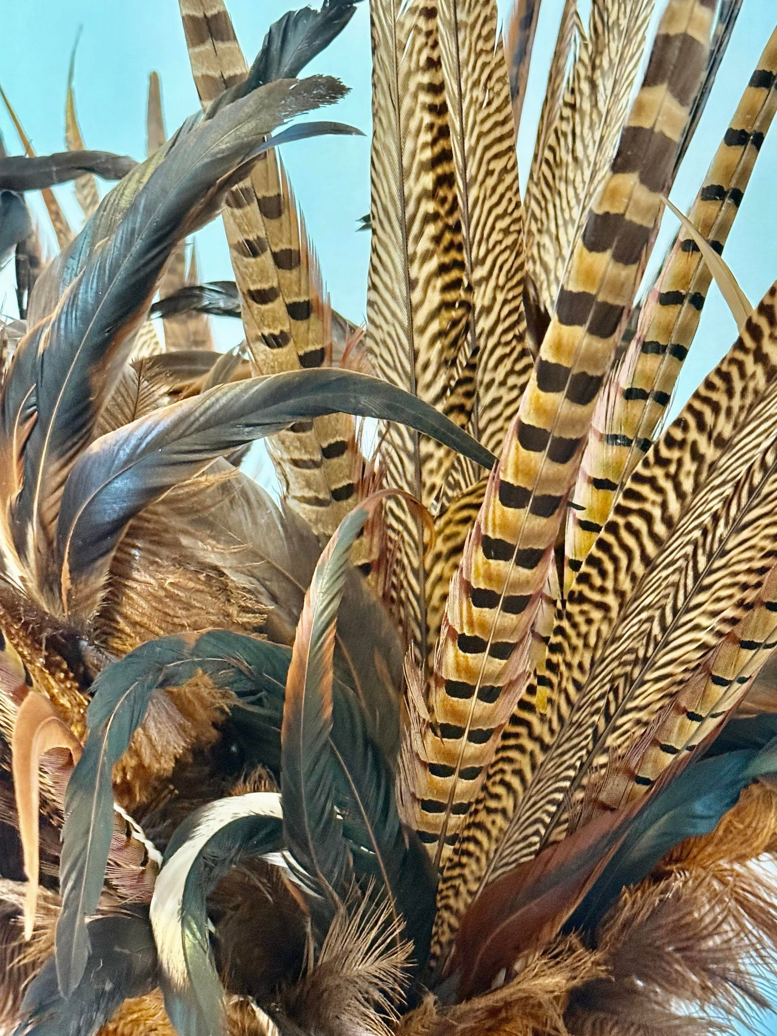 Pheasant Feather Decorative Vase - 4