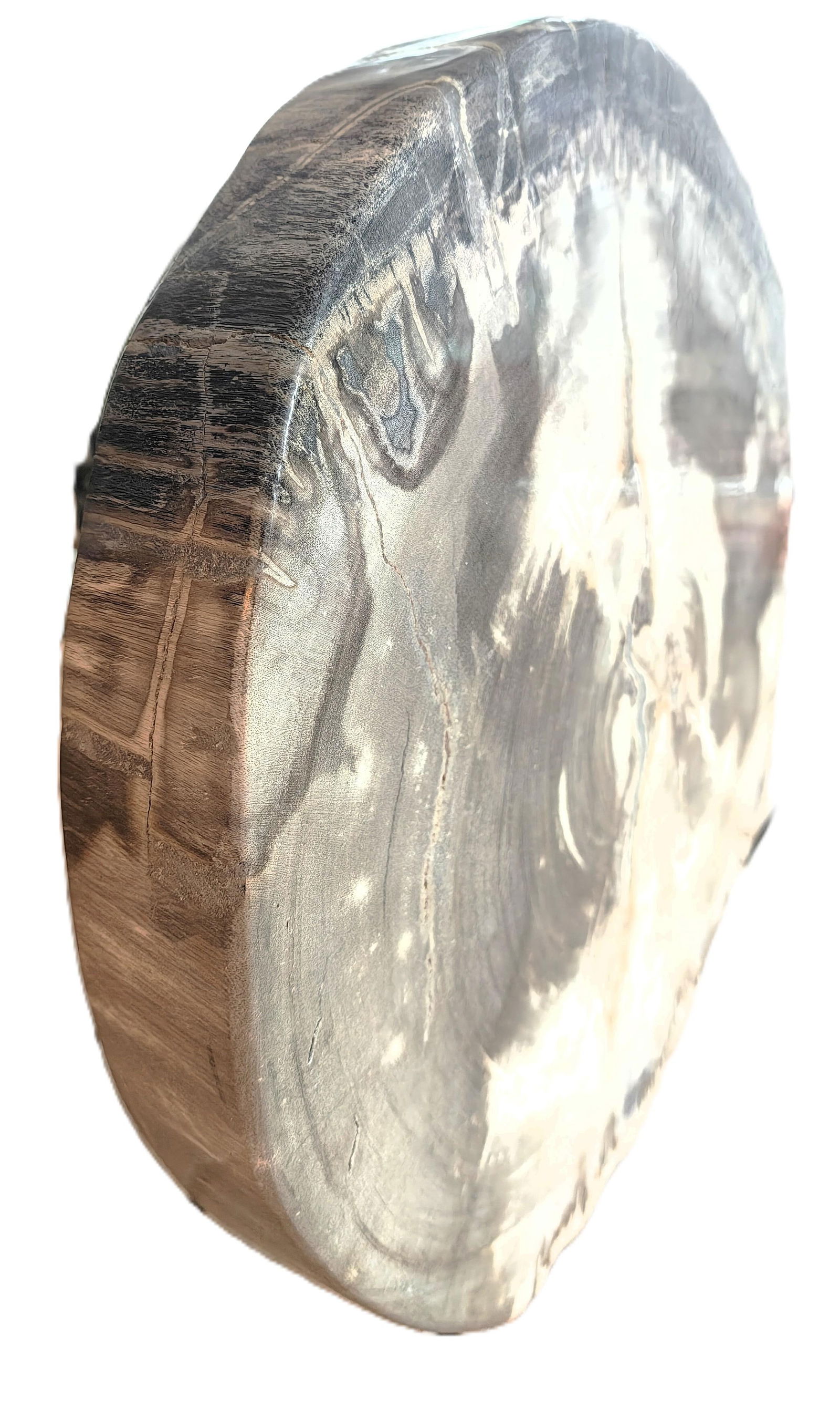 Palecek Petrified Wood Slab - 2