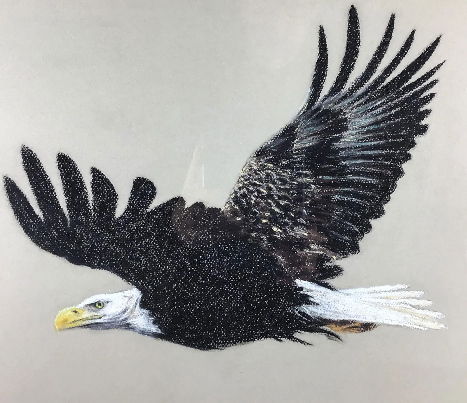 1990 Framed Bald Eagle Charcoal Original Work of Art - 2