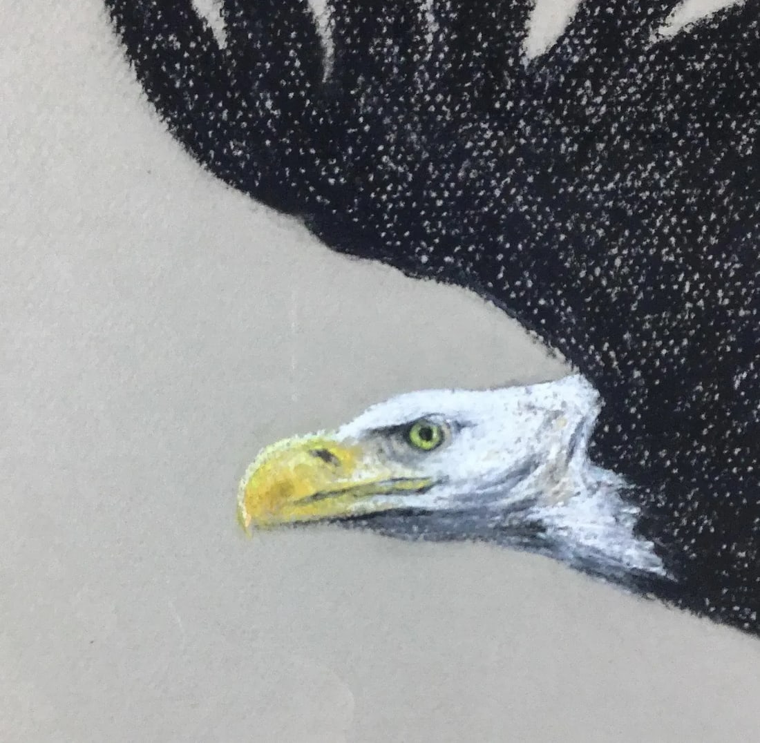 1990 Framed Bald Eagle Charcoal Original Work of Art - 6