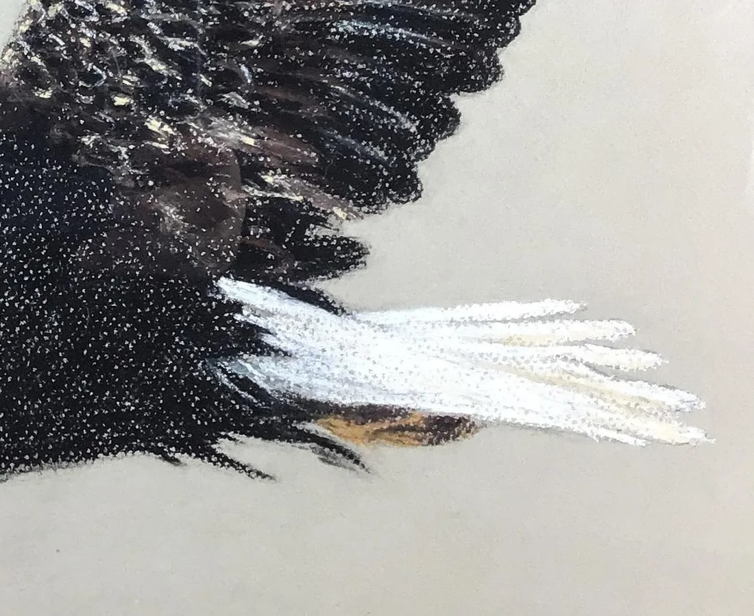 1990 Framed Bald Eagle Charcoal Original Work of Art - 7