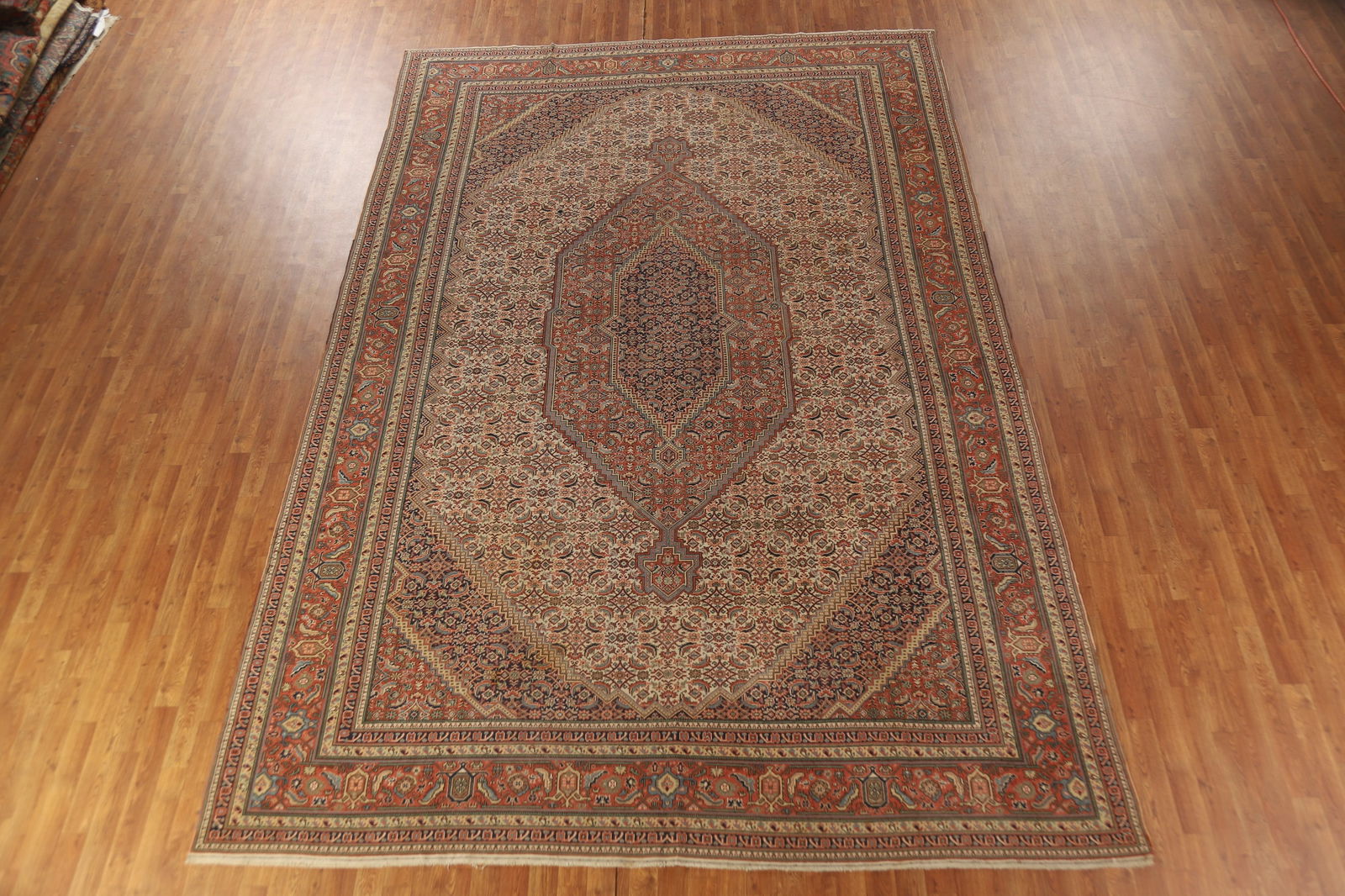 Pre-1900 Antique Vegetable Dye Tabriz Persian Area Rug 9x13 - 3