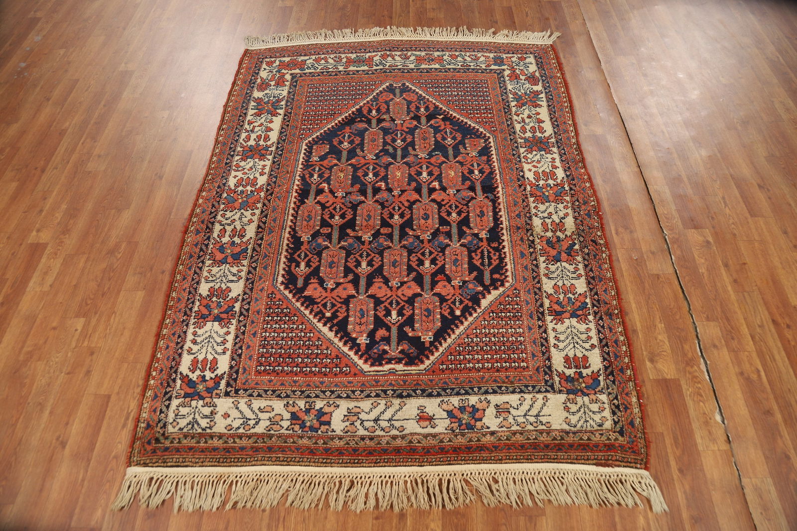 Vegetable Dye Antique Malayer Persian Rug 5x6 - 3