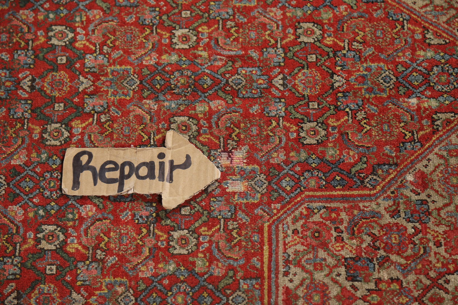 Pre-1900 Antique Vegetable Dye Signed Senneh Persian Rug 5x7 - 16