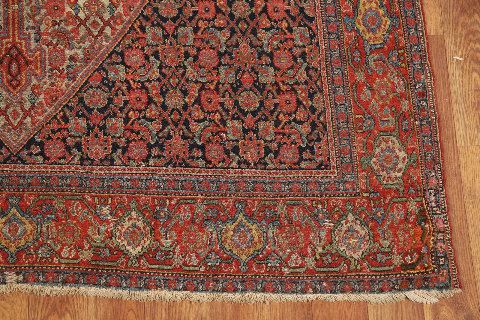 Pre-1900 Antique Vegetable Dye Signed Senneh Persian Rug 5x7 - 5