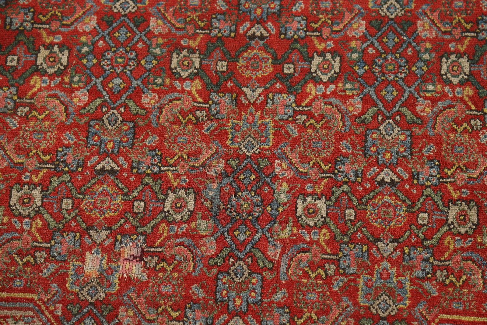 Pre-1900 Antique Vegetable Dye Signed Senneh Persian Rug 5x7 - 9