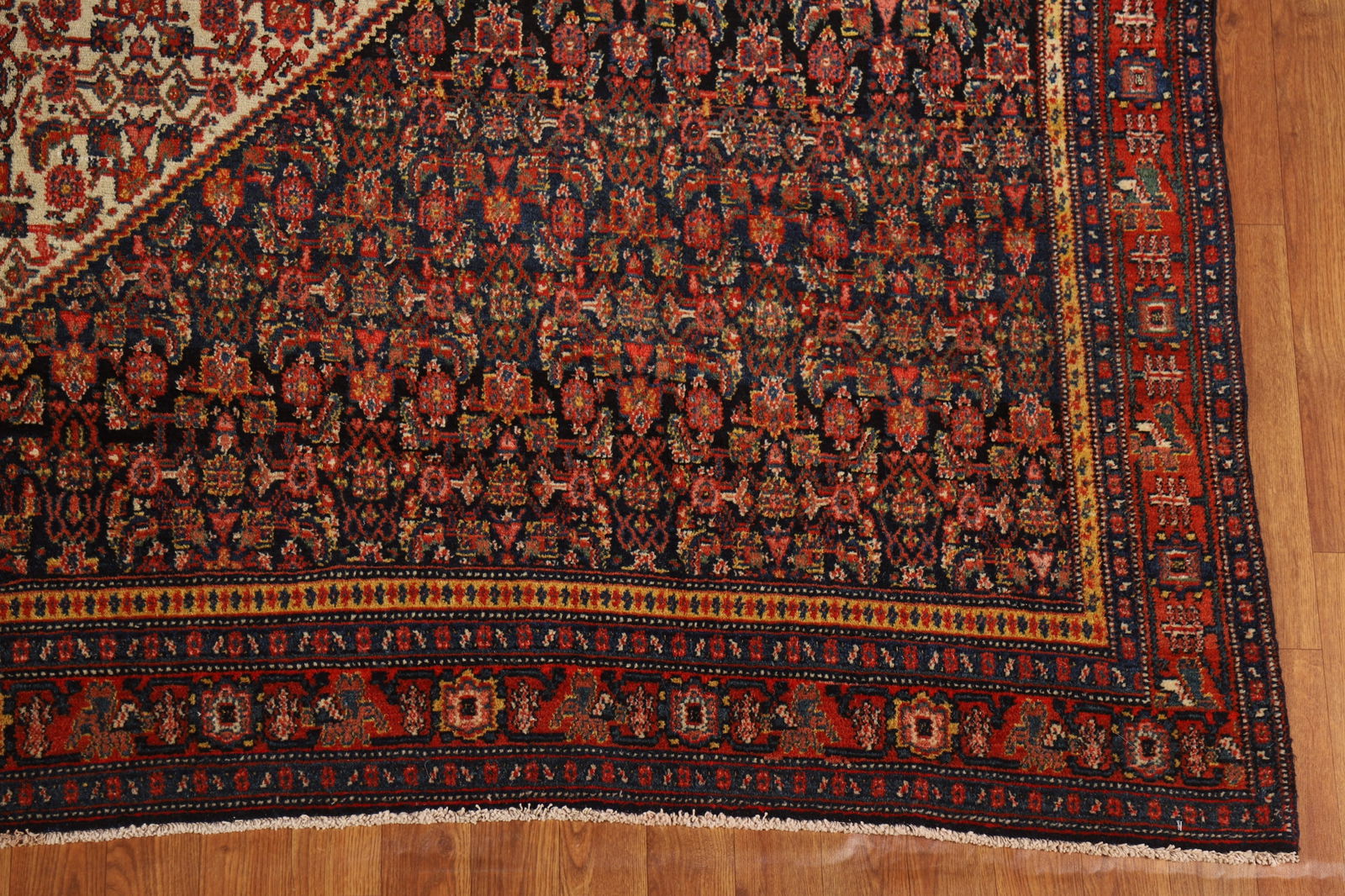Pre-1900 Antique Vegetable Dye Senneh Persian Large Rug 8x20 - 5