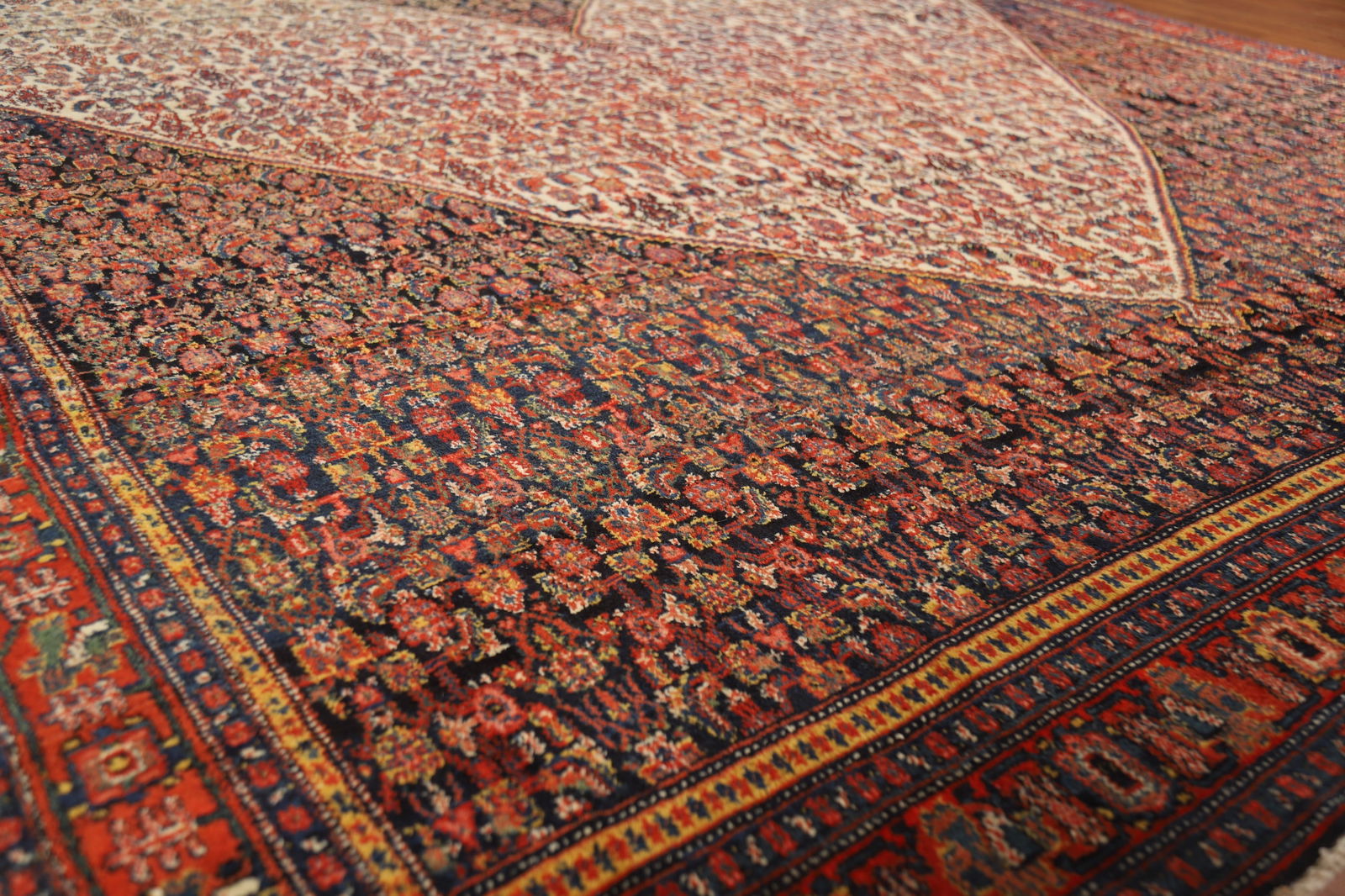 Pre-1900 Antique Vegetable Dye Senneh Persian Large Rug 8x20 - 6