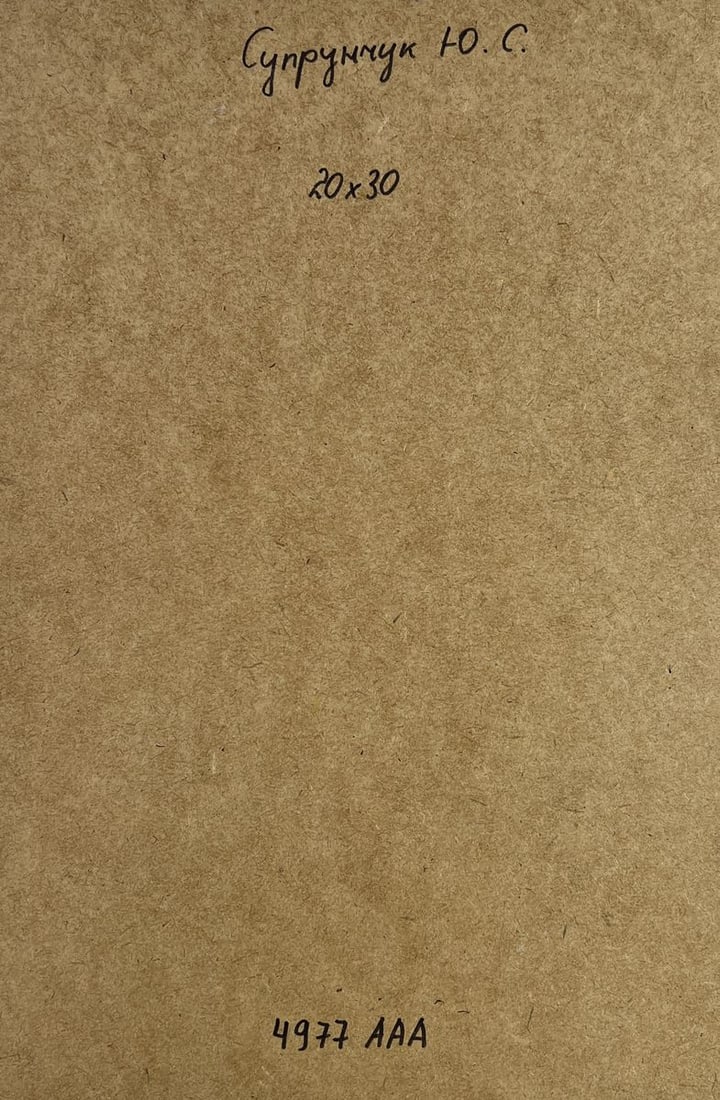 Oil painting Home on a winter evening Yuriy Suprunchuk - 9