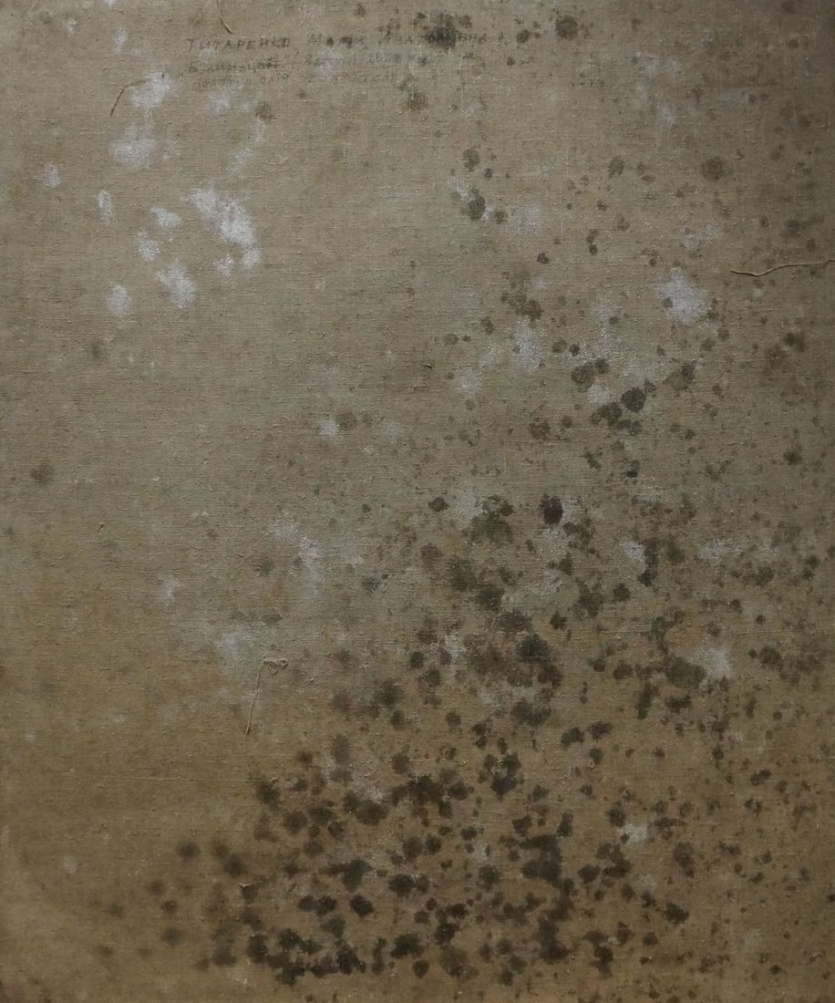 Oil painting Apple tree blossoms Titarenko Maria Anatolyevna - 7