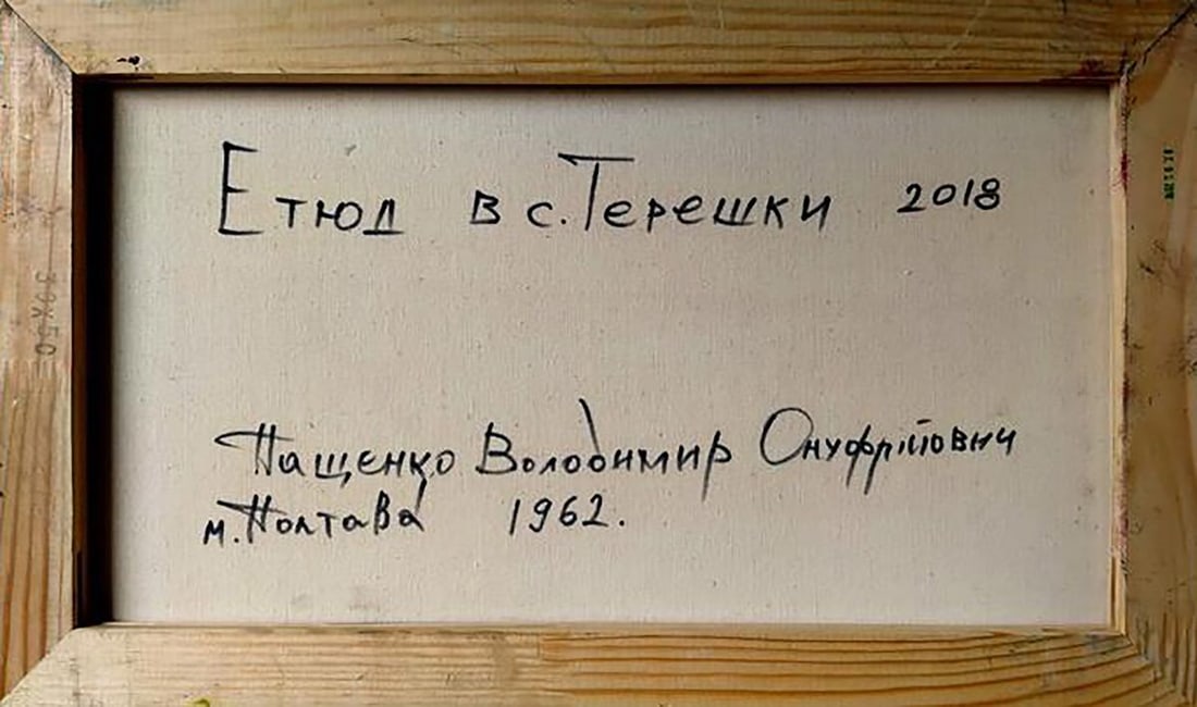 Oil painting Study in the village Volodymyr Pashchenko - 8