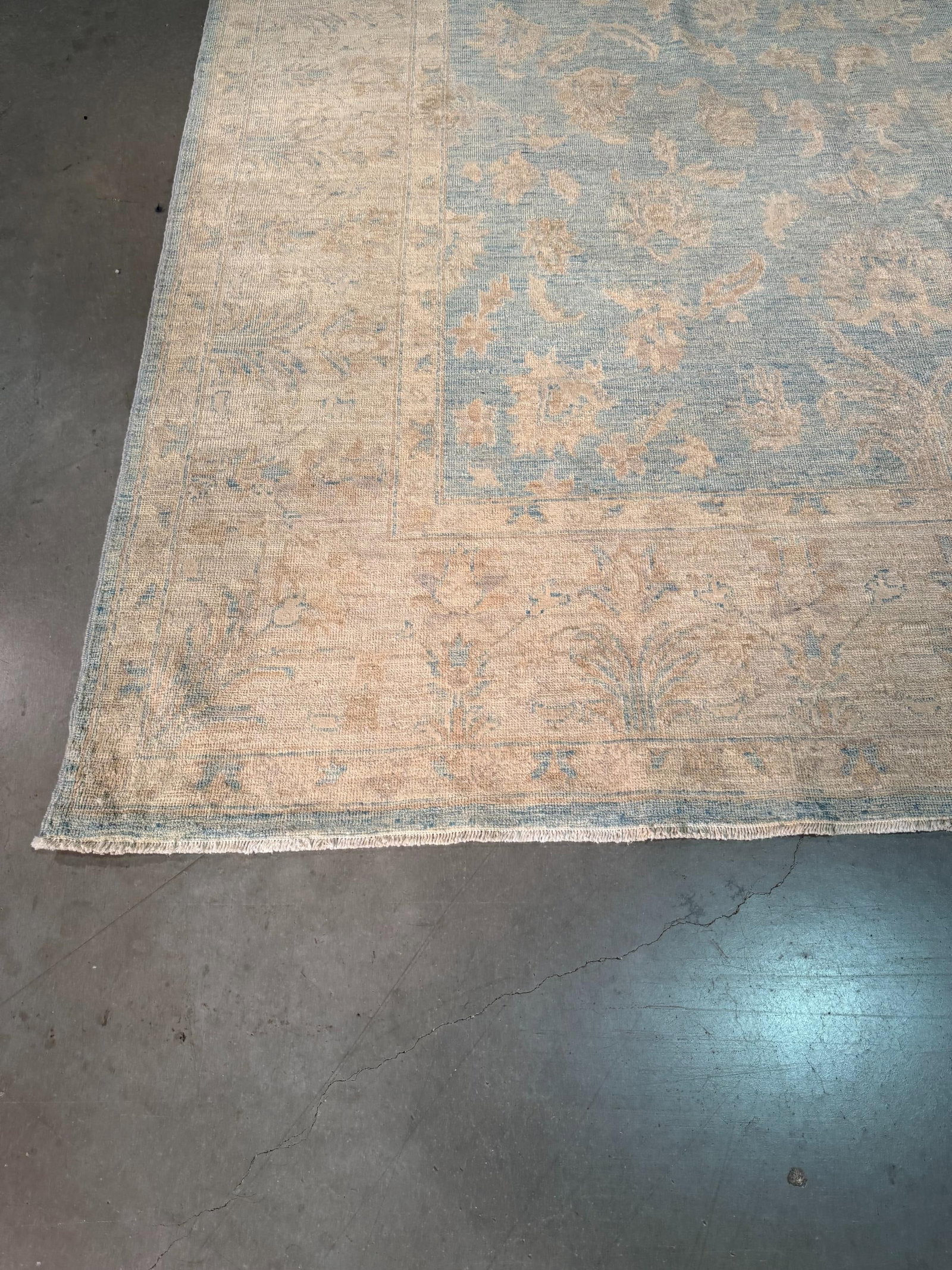 Exquisite Zighler Rug 6.8x9.8 - 8