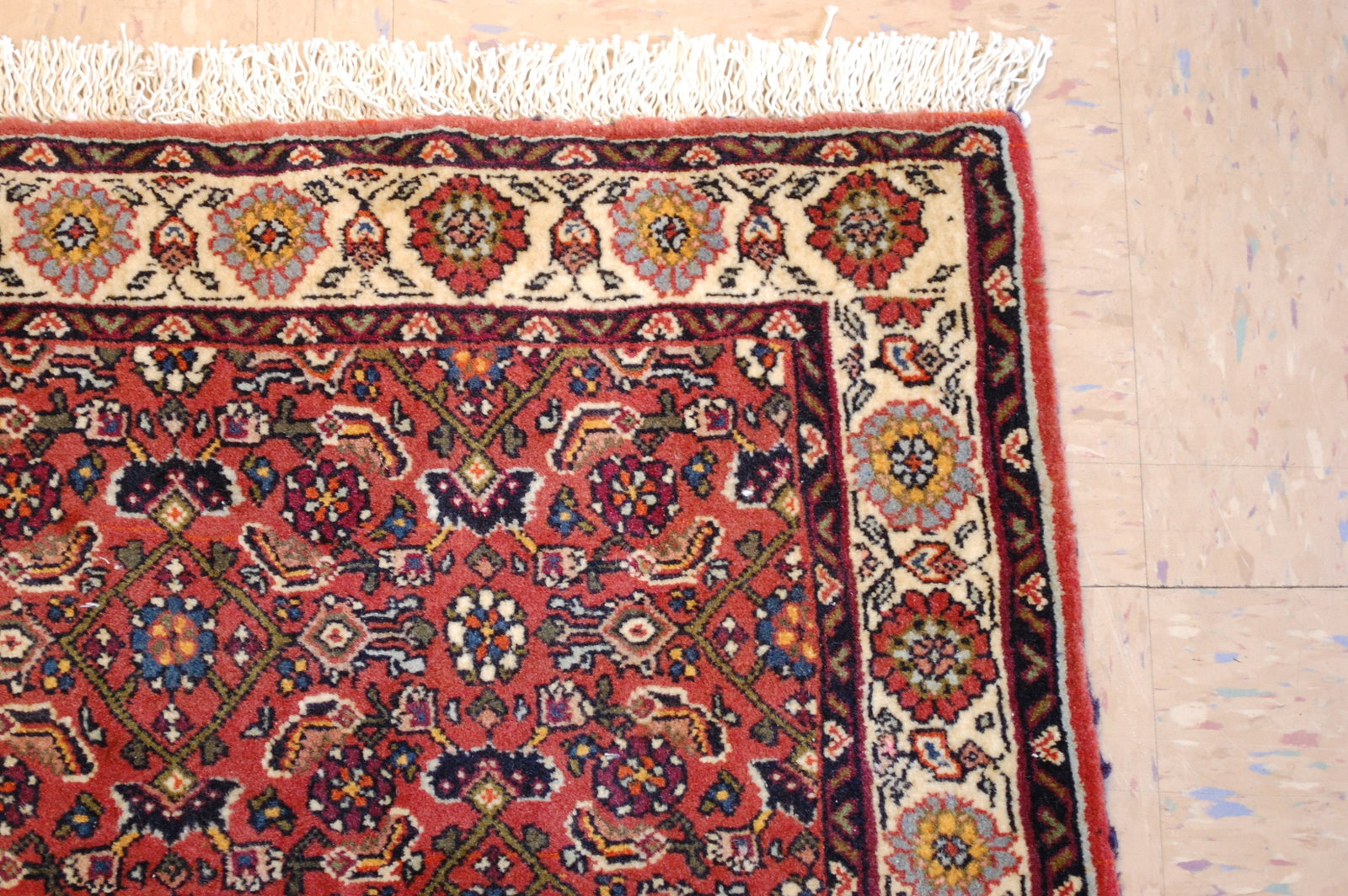 Persian BIJAR RUG 2'5" x 3'3" - 5
