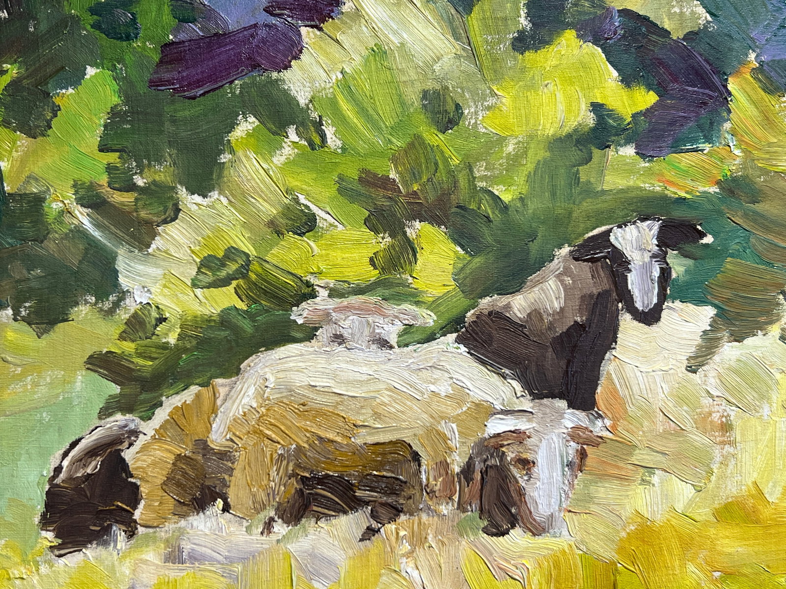 Oil painting with frame Sheep K. Leonid - 2