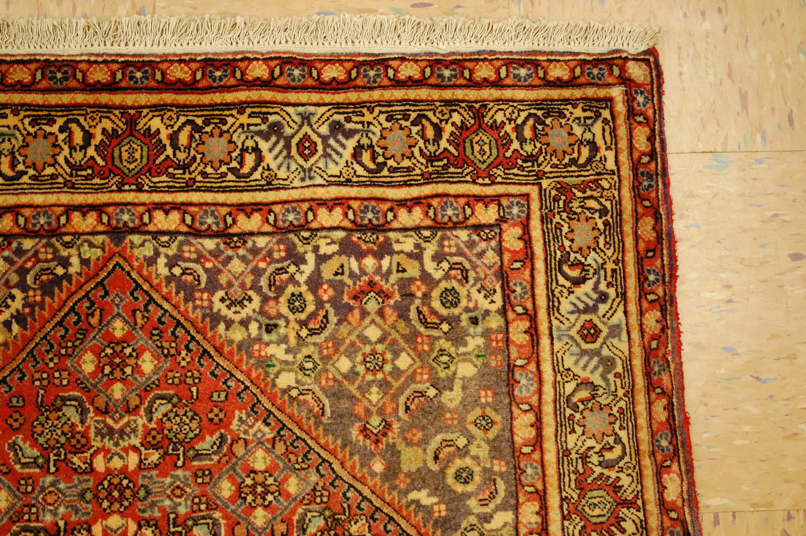 PERSIAN BEJAR RUG 3.1x4.7 - 6