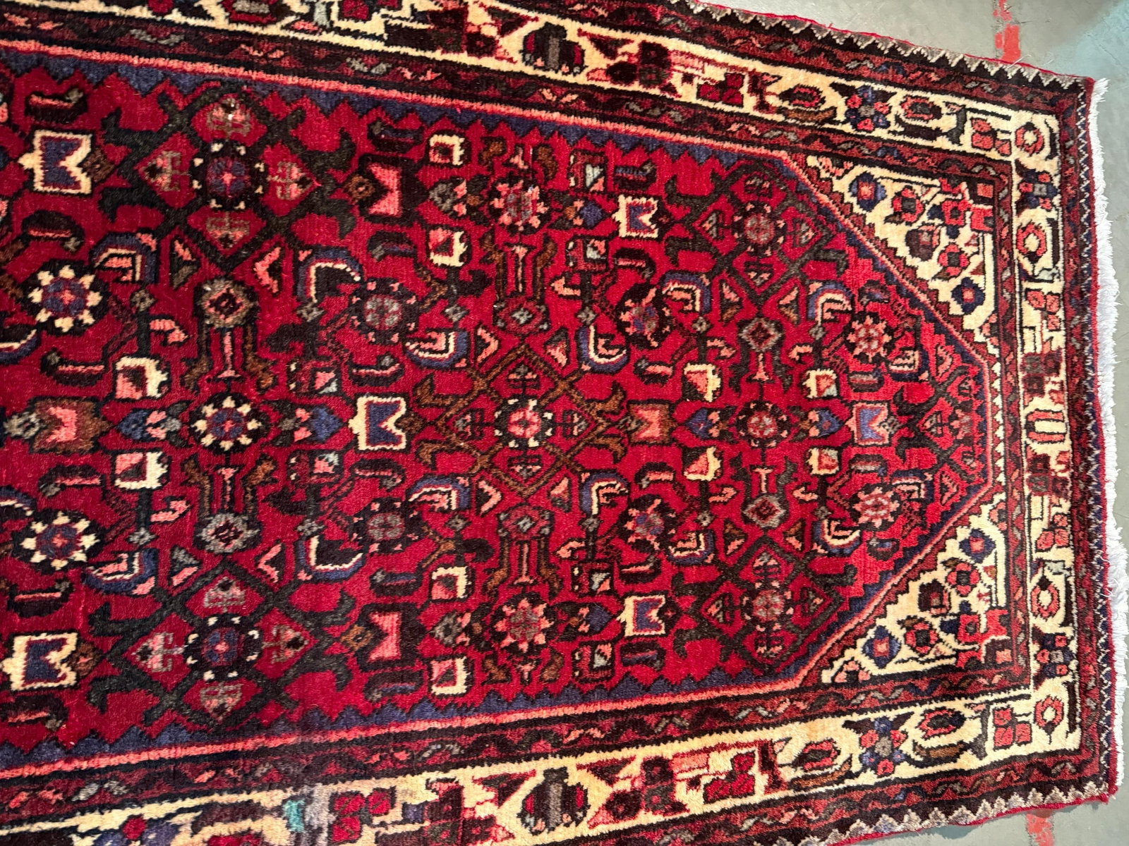 Persian Hamedan Runner 3.4x10 - 5