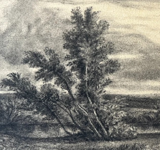 Antique Drawing Landscape, Trees, Cows, Forest, Lake 19 century - 6