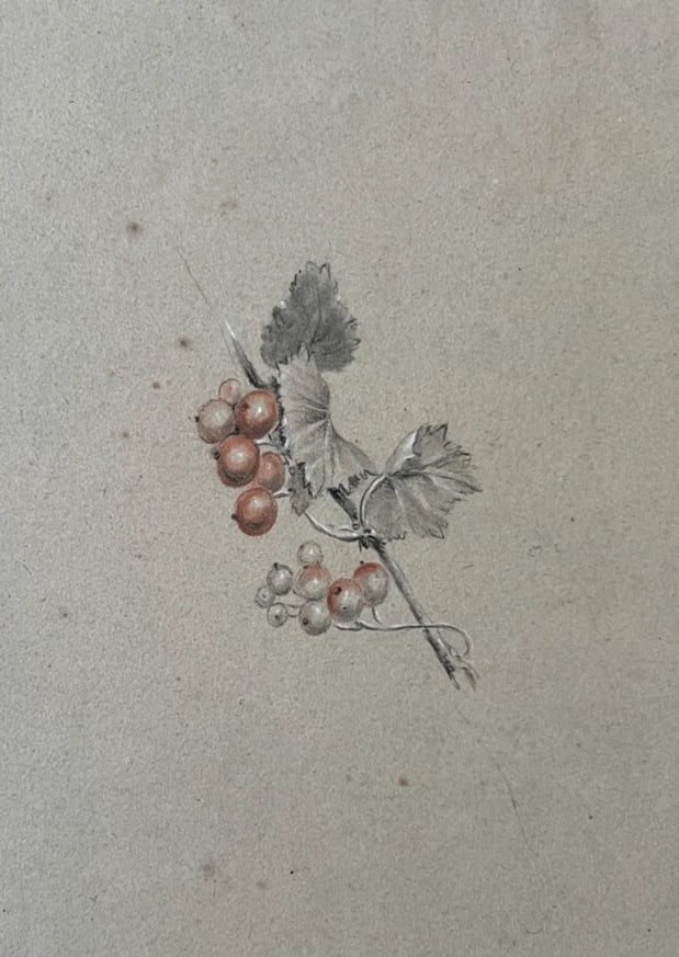 Antique Drawing Still Life, Fruit, Leaf, Flower 19th century Artwork Pencil: Title: Antique Drawing Still Life, Fruit, Leaf, Flower 19th century Artwork Pencil Description: Pencils on paper 31 x 25 cm / 12.20 x 9.84 inches folds, stains Reserve: $120.00 Shipping:Domestic: