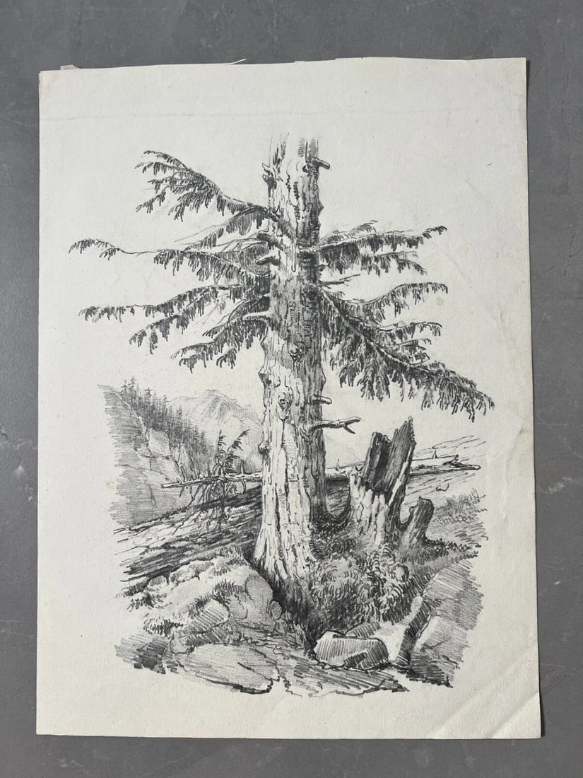 Antique Drawing Original Tree, Landscape, Nature 19th century Artwork - 2