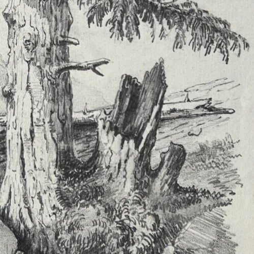 Antique Drawing Original Tree, Landscape, Nature 19th century Artwork - 4