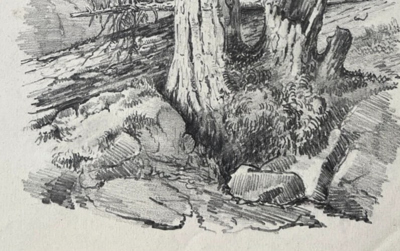 Antique Drawing Original Tree, Landscape, Nature 19th century Artwork - 5