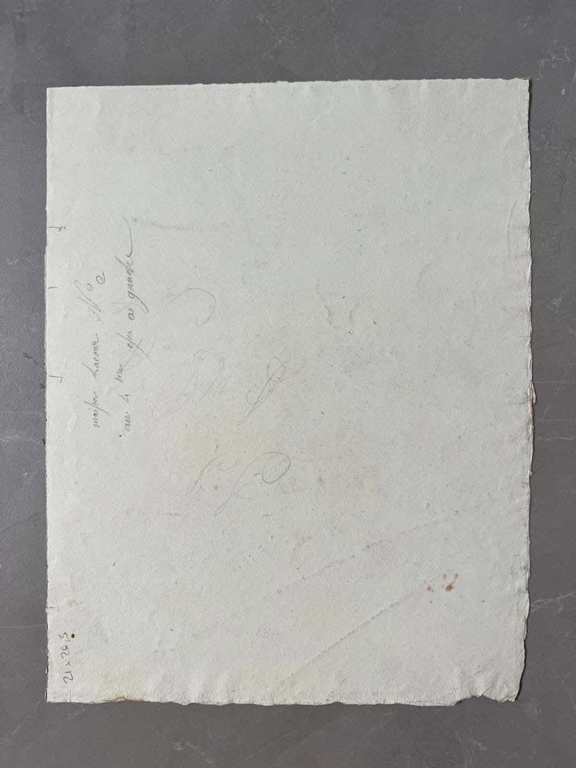 Antique Original Drawing Flowers, Tulip, Still Life 19th century - 8