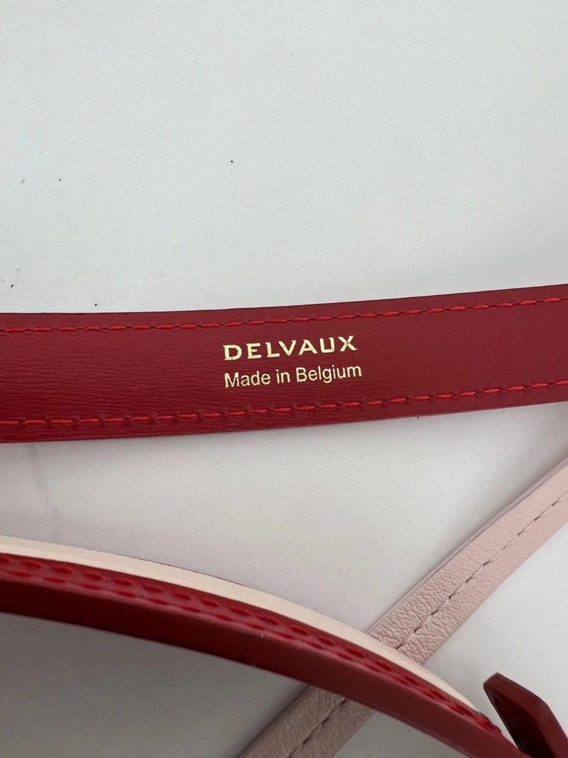 Delvaux Box Calfskin Mini Pin Daily Surpique Red Leather Bucket Bag - 11