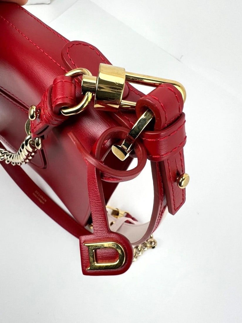 Delvaux Box Calfskin Mini Pin Daily Surpique Red Leather Bucket Bag - 4