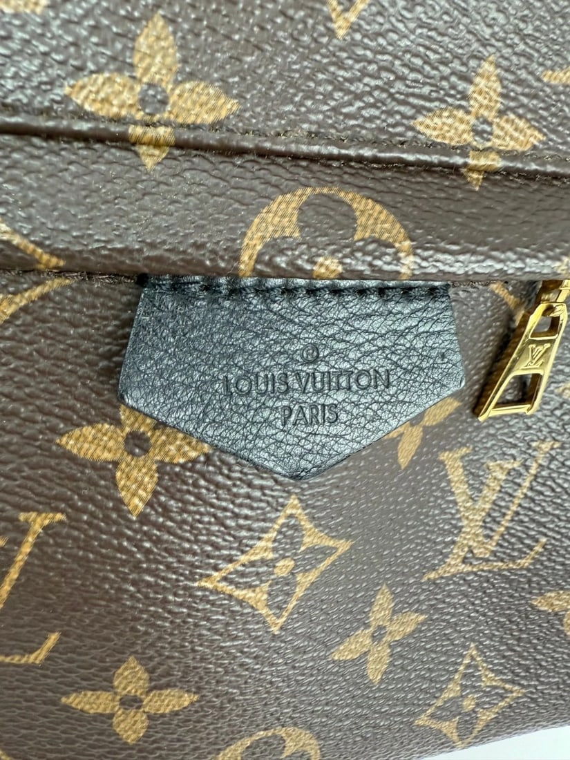 Louis Vuitton Backpack Palm Springs PM Monogram Canvas Backpack - 13