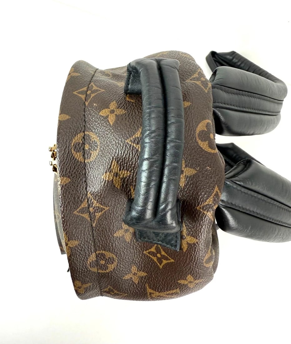 Louis Vuitton Backpack Palm Springs PM Monogram Canvas Backpack - 6