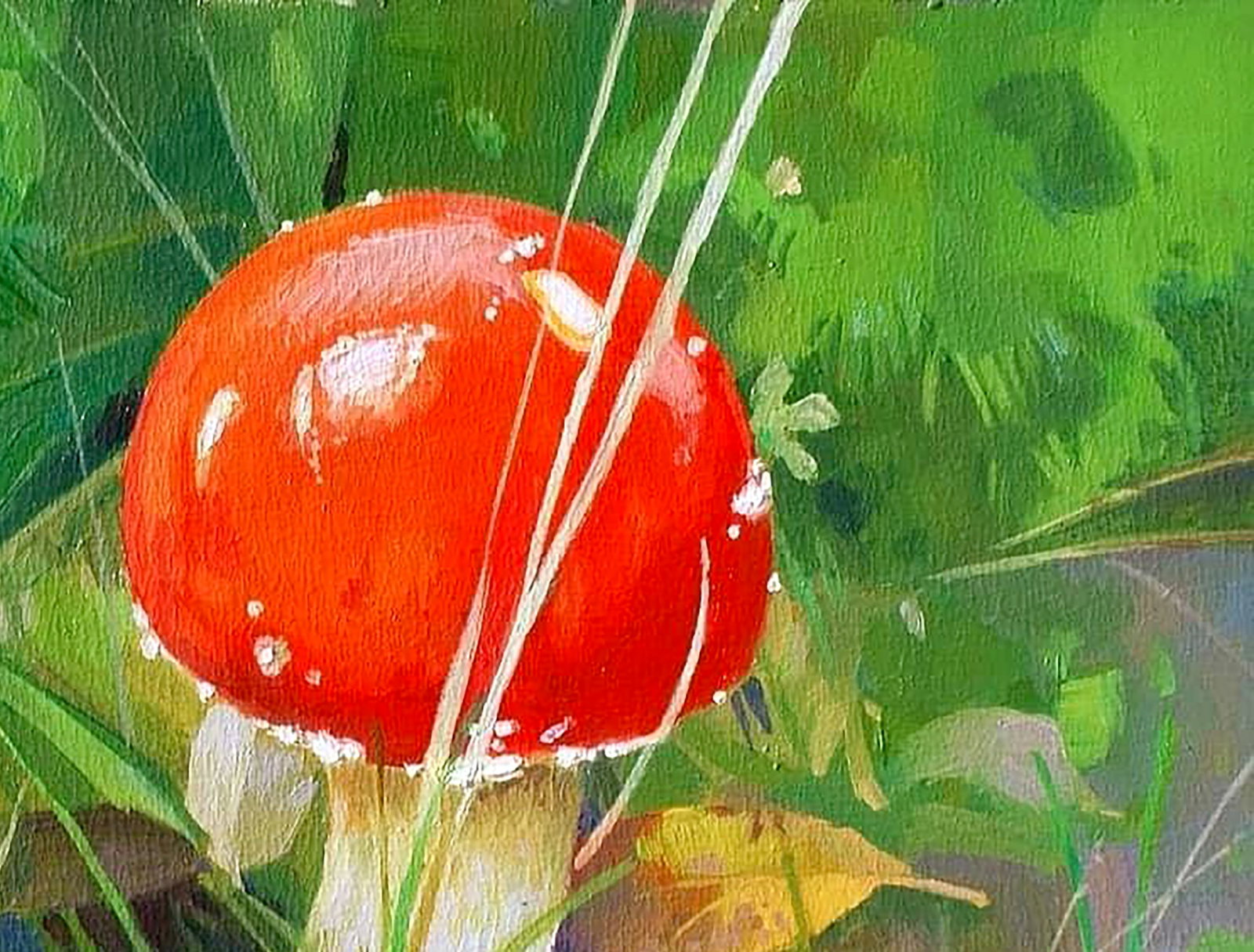 Oil painting Mountain mushroom Anastasia Yaroshevich - 3