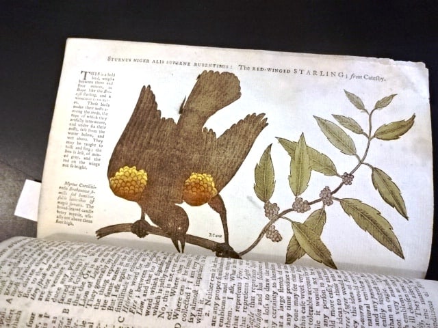 1752 Gentlemans Magazine Benjamin Franklin Electricity - 2