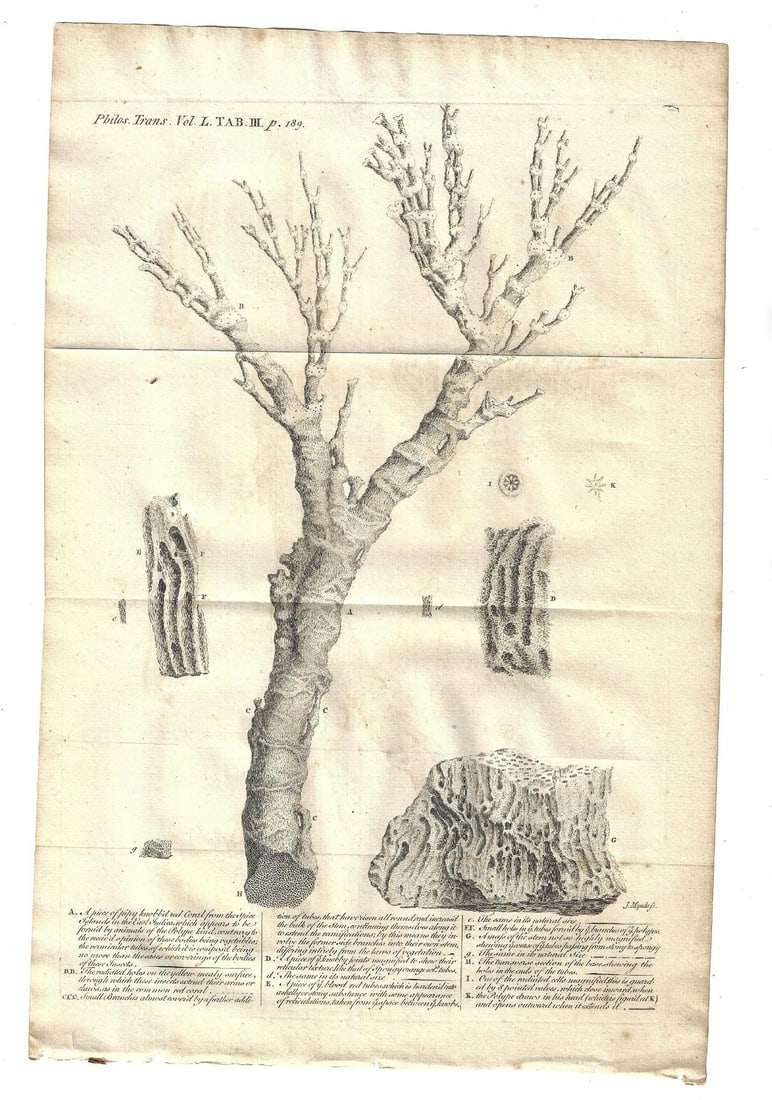 1706 Leaf Bible Engraving Johann Ulrich Krauss (1 of 2)