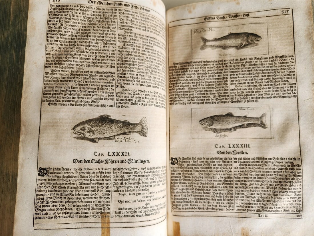 1682 Georgica curiosa ILLUSTRATED noble country life antique PIGSKIN BOUND FOLIO - 17