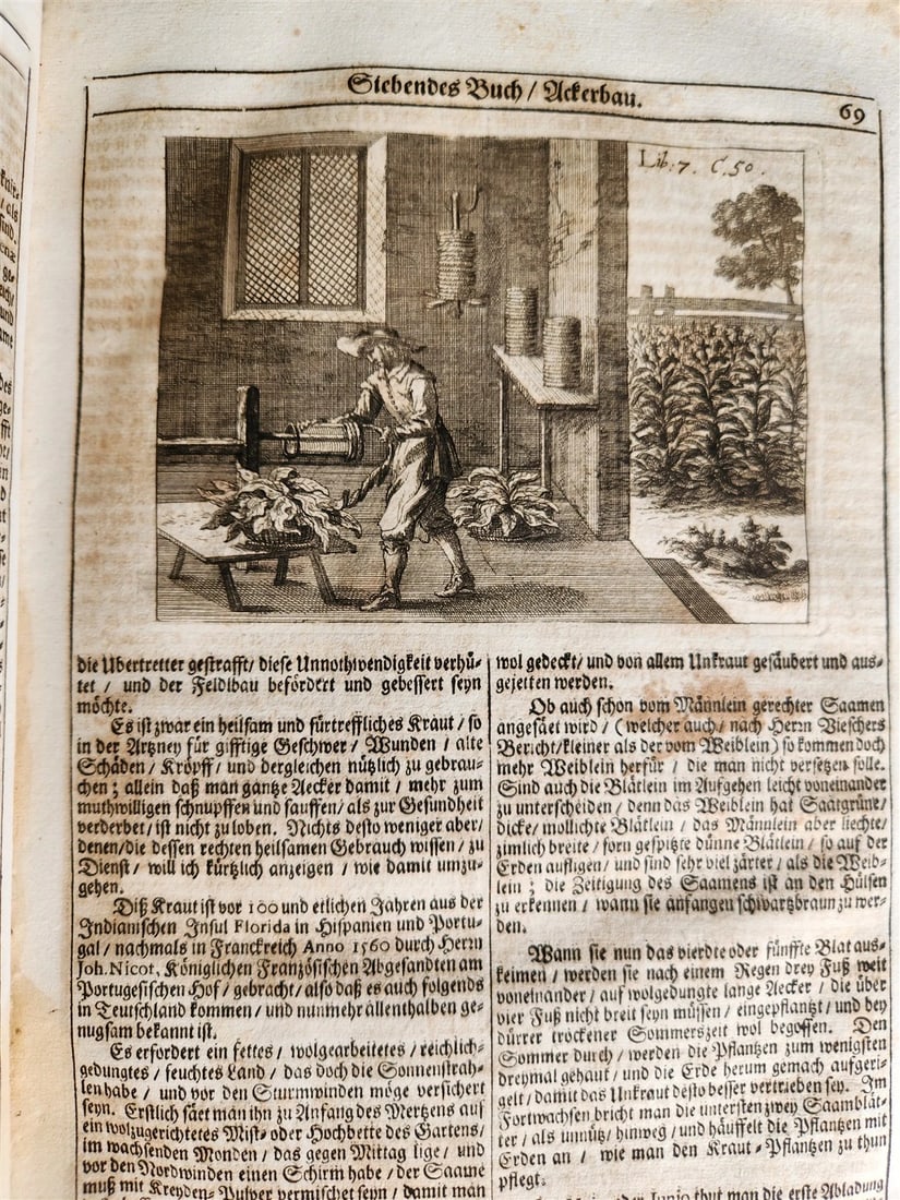 1682 Georgica curiosa ILLUSTRATED noble country life antique PIGSKIN BOUND FOLIO - 5