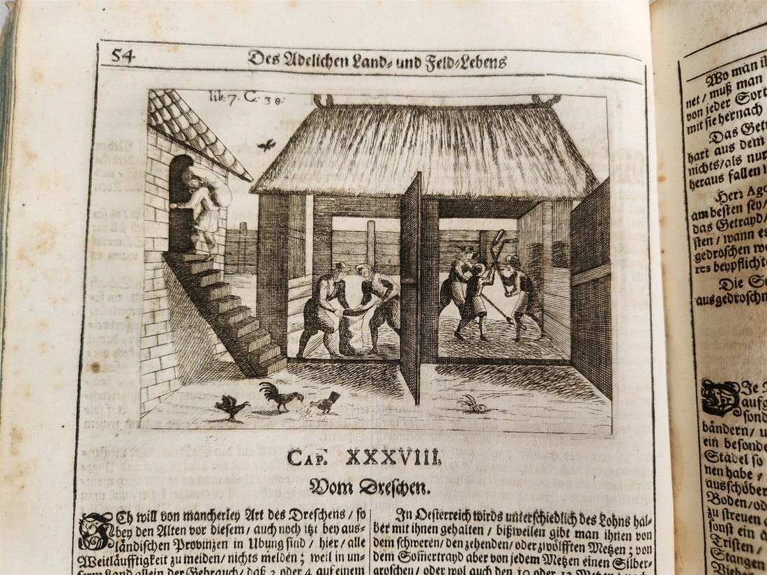 1682 Georgica curiosa ILLUSTRATED noble country life antique PIGSKIN BOUND FOLIO - 6