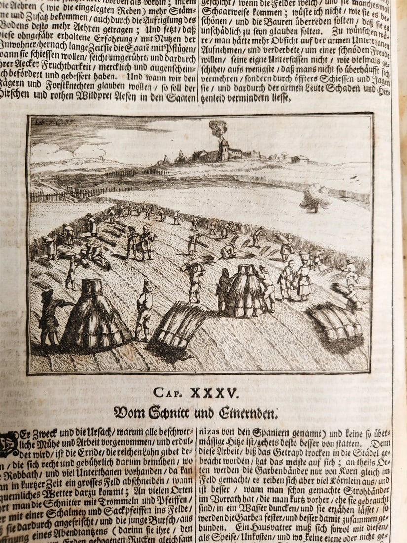 1682 Georgica curiosa ILLUSTRATED noble country life antique PIGSKIN BOUND FOLIO - 7