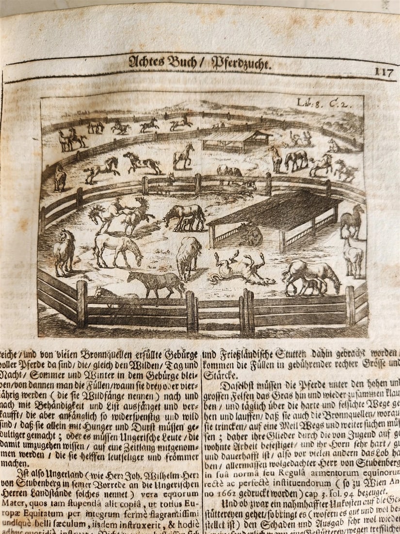 1682 Georgica curiosa ILLUSTRATED noble country life antique PIGSKIN BOUND FOLIO - 8