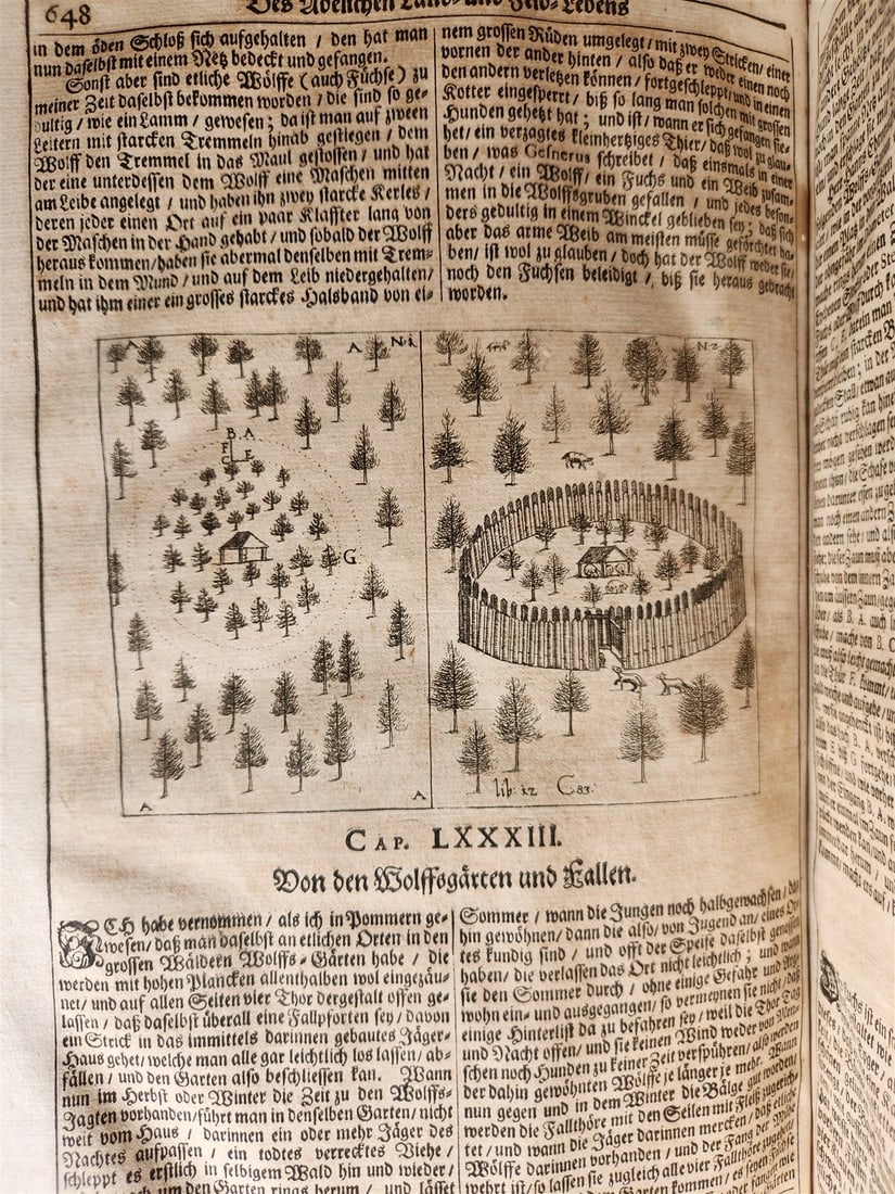 1682 Georgica curiosa ILLUSTRATED noble country life antique PIGSKIN BOUND FOLIO - 9
