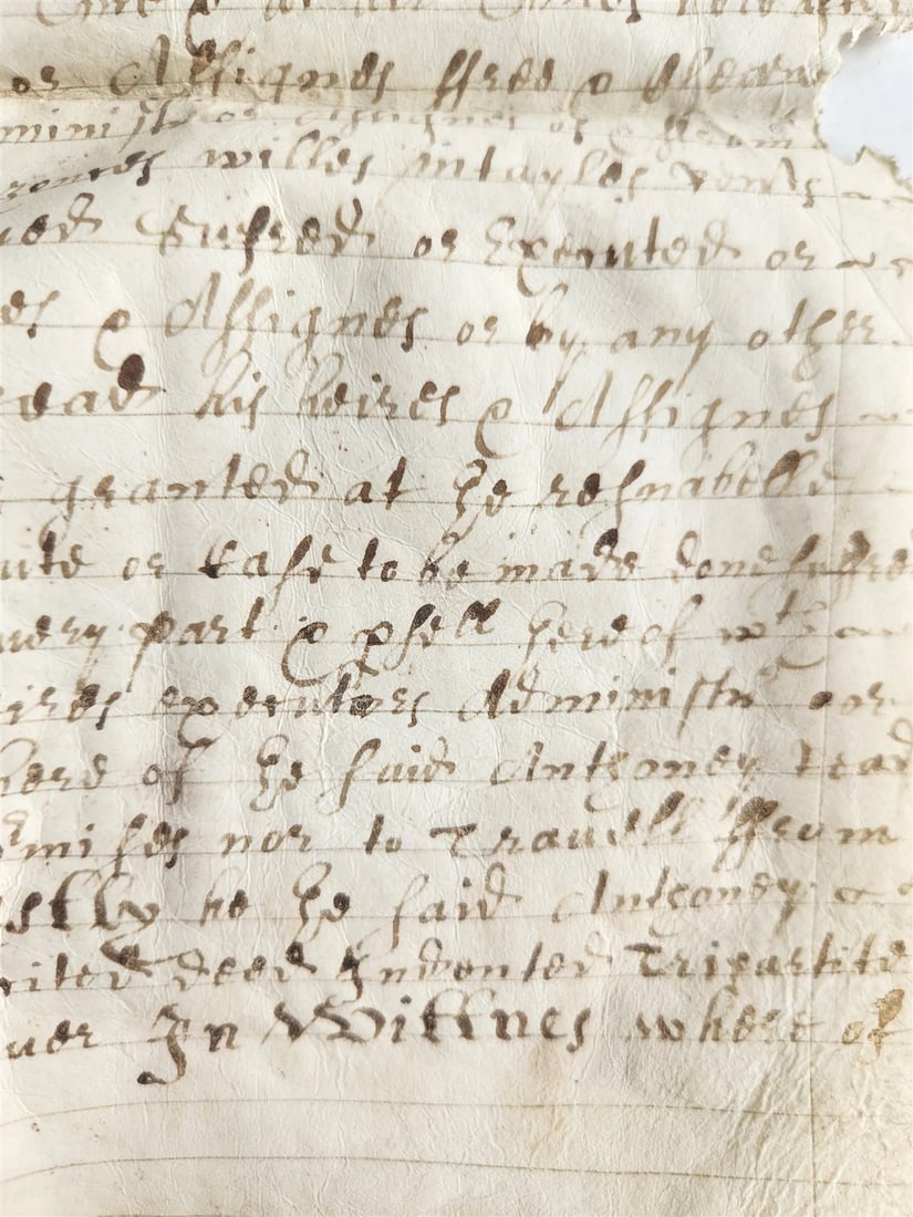 1666 17th CENTURY MANUSCRIPT on VELLUM ANTIQUE BRITISH LEGAL DOCUMENT in ENGLISH - 4