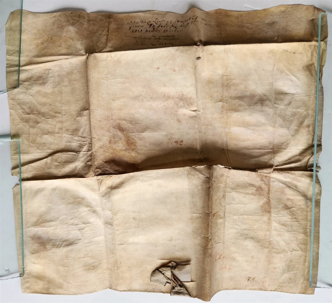 1666 17th CENTURY MANUSCRIPT on VELLUM ANTIQUE BRITISH LEGAL DOCUMENT in ENGLISH - 7