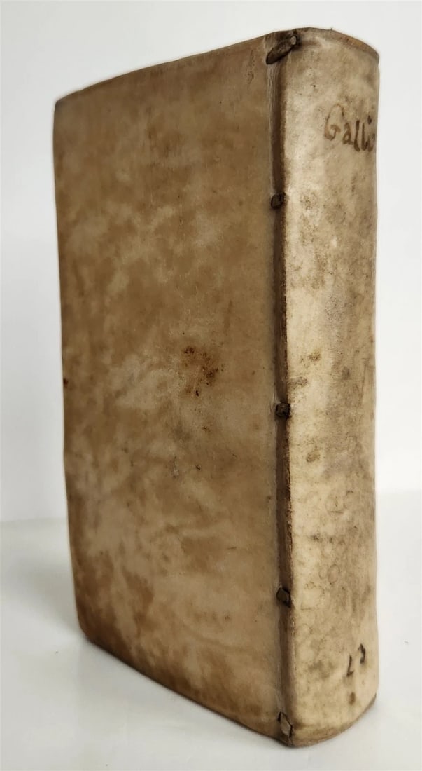 1629 FRANCE TRAVEL GUIDE & HISTORY GALLIA SIVE DE FRANCORUM antique VELLUM - 2