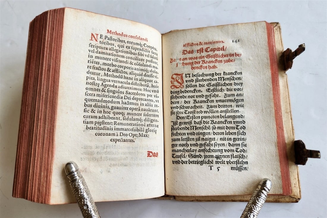 1587 CANON LAW in LATIN by Urban von Trenbach antique PIGSKIN BINDING - 12