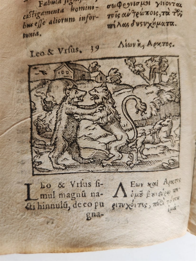 1585 AESOP fully illustrated ANTIQUE 16th century emblemata VELLUM BINDING rare - 8