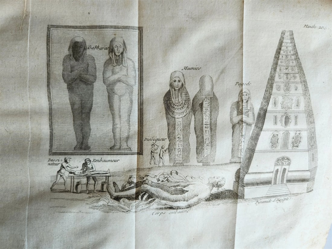 1770 MEDICAL TREATISE ILLUSTRATED ANATOMY by Francois PLANQUE antique V. 10 - 10