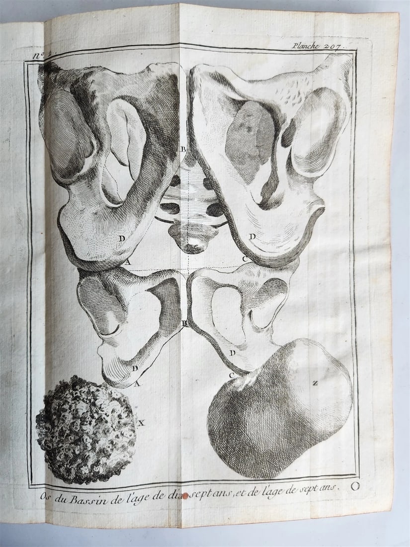 1770 MEDICAL TREATISE ILLUSTRATED ANATOMY by Francois PLANQUE antique V. 10 - 7